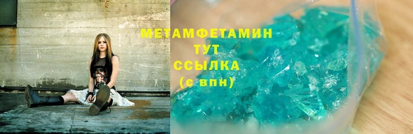 гидра Елизово