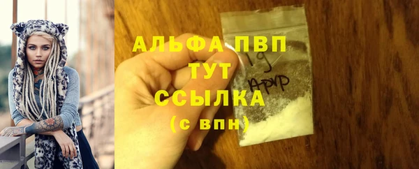 гидра Елизово