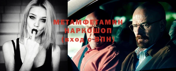 гидра Елизово