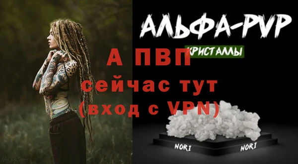 гидра Елизово