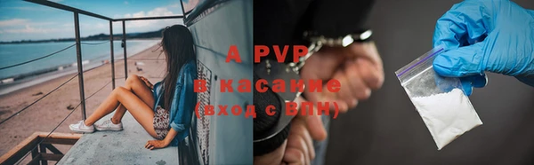 гидра Елизово