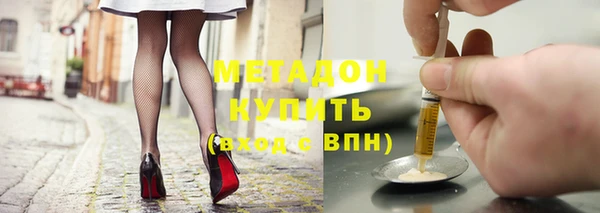 гидра Елизово