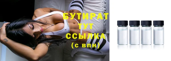 гидра Елизово