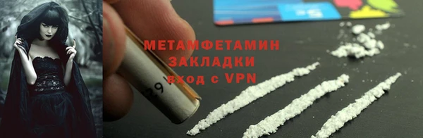 гидра Елизово