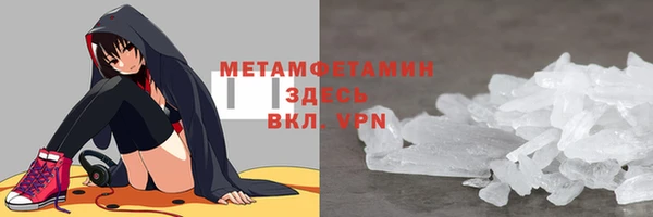гидра Елизово