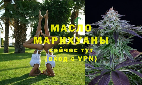 гидра Елизово