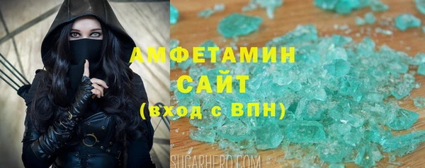 гидра Елизово