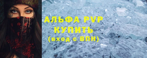 гидра Елизово