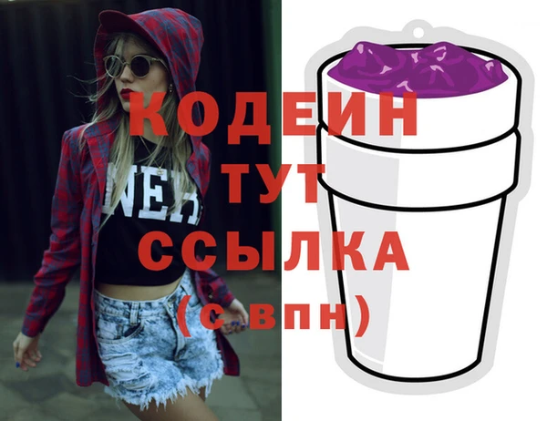 гидра Елизово