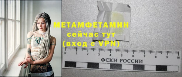 гидра Елизово