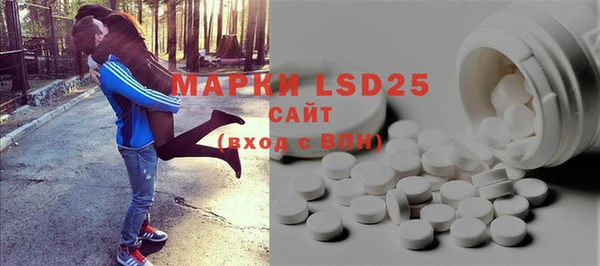 гидра Елизово