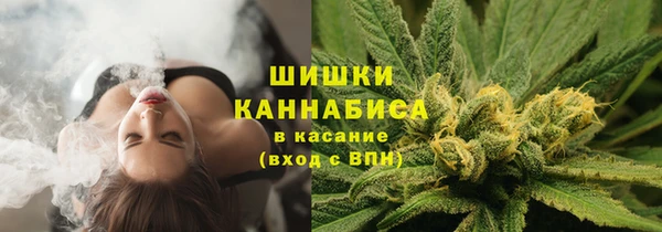 Альфа ПВП Елабуга