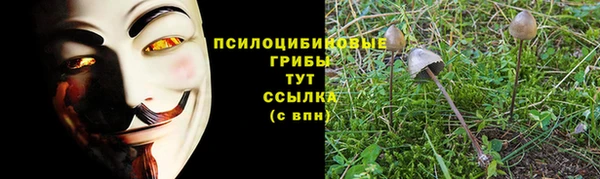 гидра Елизово