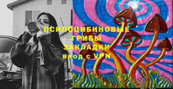 Альфа ПВП Елабуга
